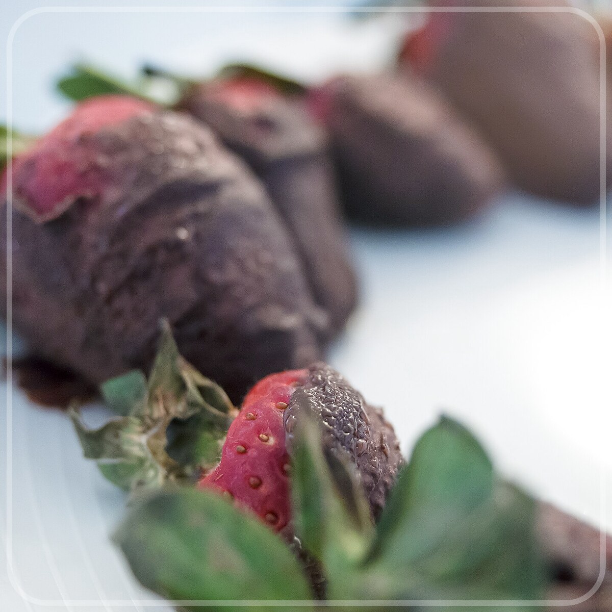 A plated serving of Chocolate Dipped Strawberries